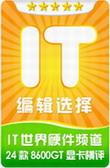 8600GTսʿٻIT༭ѡ